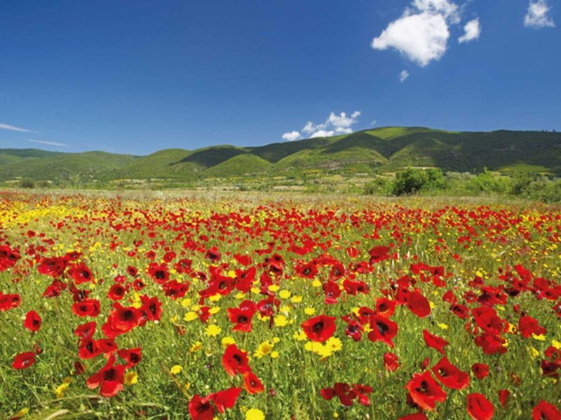Avaton Luxury Villas Resort Relais & Chateaux 7