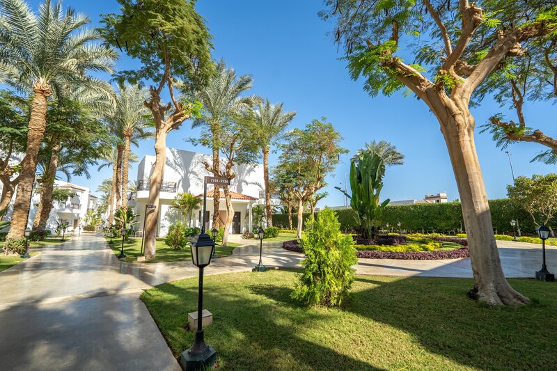 Jaz Fanara Resort 62