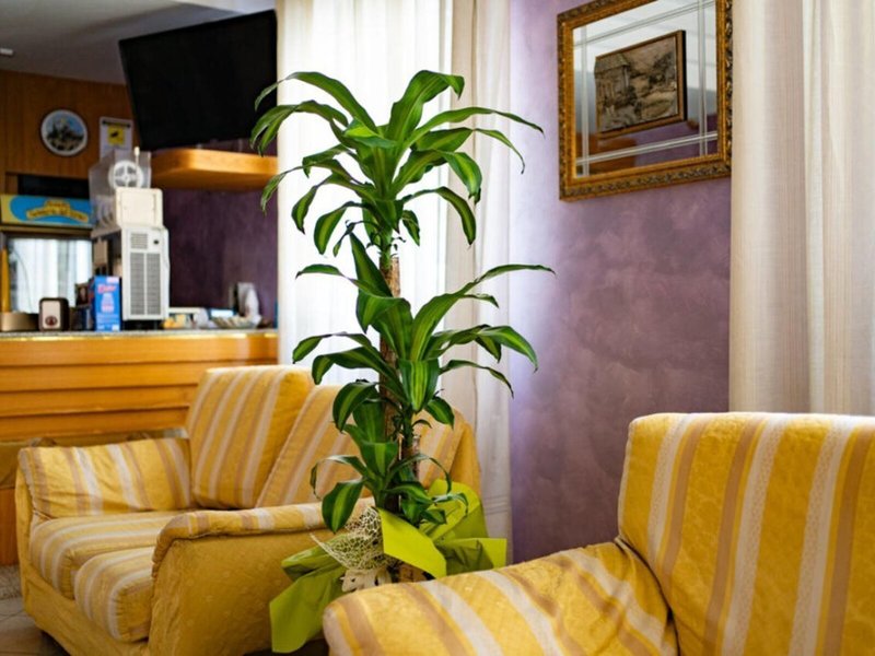 Hotel Beaurivage 4