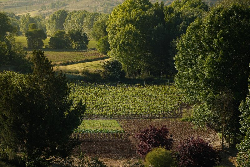 Castilla Termal Monasteri de Valbuena 12