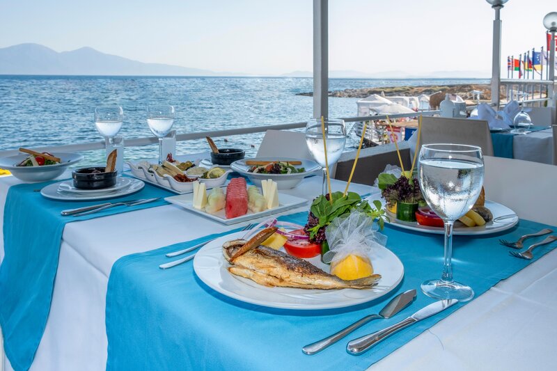 Grand Blue Sky International 61