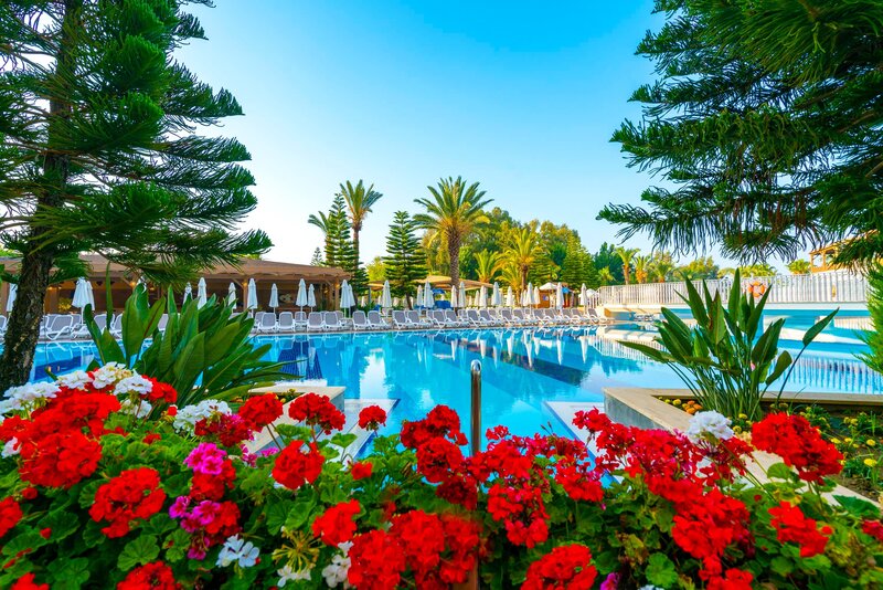 Sidemarin Kirman Premium 89