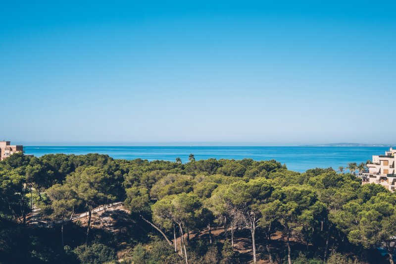 Iberostar Selection Llaut Palma 33