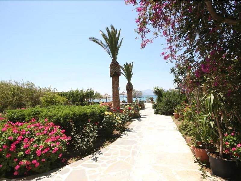 Agia Anna Studios & Apartments 5