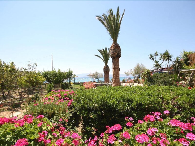 Agia Anna Studios & Apartments 6