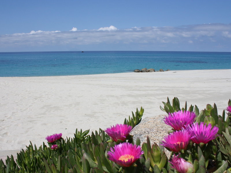 Borgo Donna Canfora 5