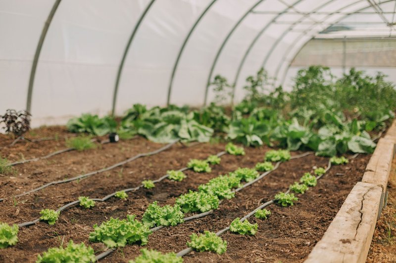 Santa Barbara Eco Beach Resort 43