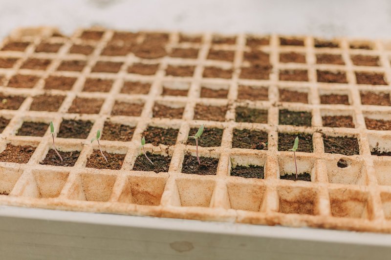 Santa Barbara Eco Beach Resort 44