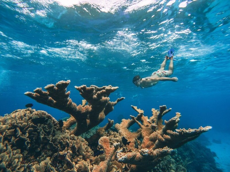 The Explorean Cozumel 12