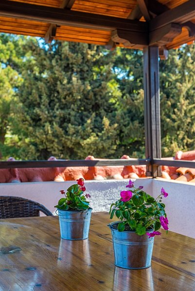 Georgalas Sun Beach Hotel 36