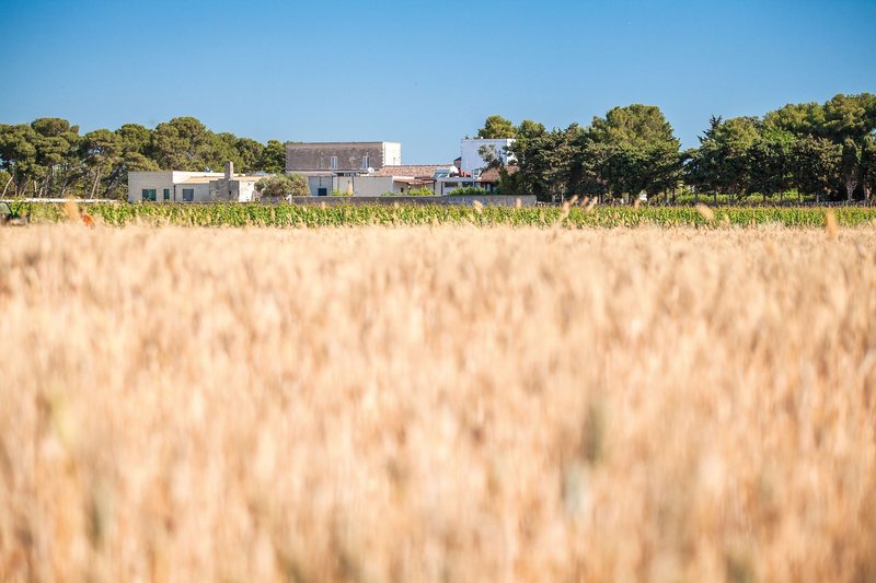 Tenuta del Barco 12