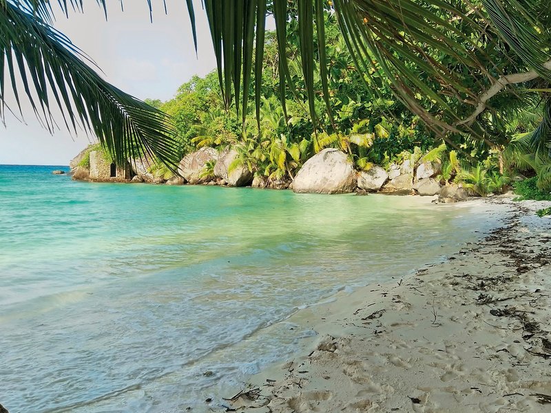 La Belle Tortue Lodge & Restaurant 13