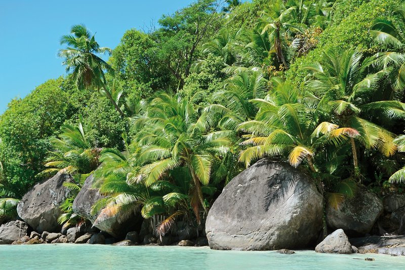 La Belle Tortue Lodge & Restaurant 14