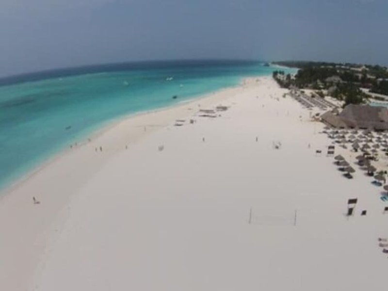 PalumboKendwa Zanzibar 5