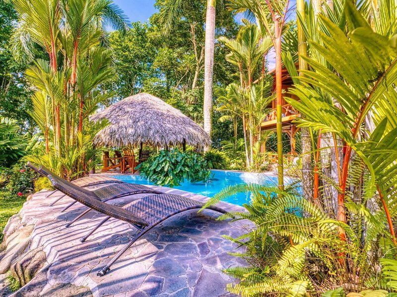 Hotel Banana Azul 18