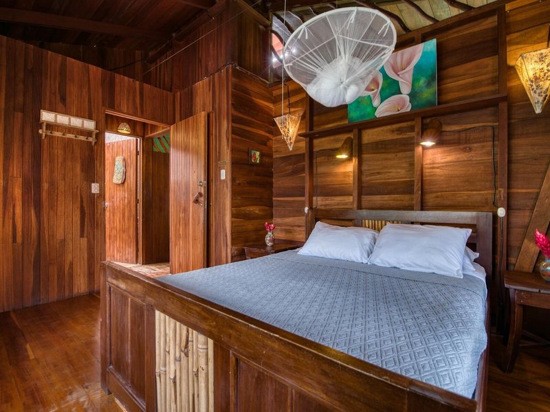 Hotel Banana Azul 40