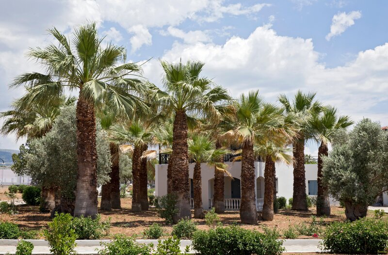 Eretria Hotel & Spa Resort 28