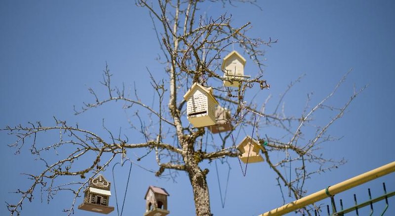 Aparthotel Gallahaus 3