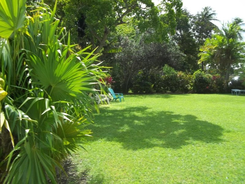 Palm Garden Hotel 8