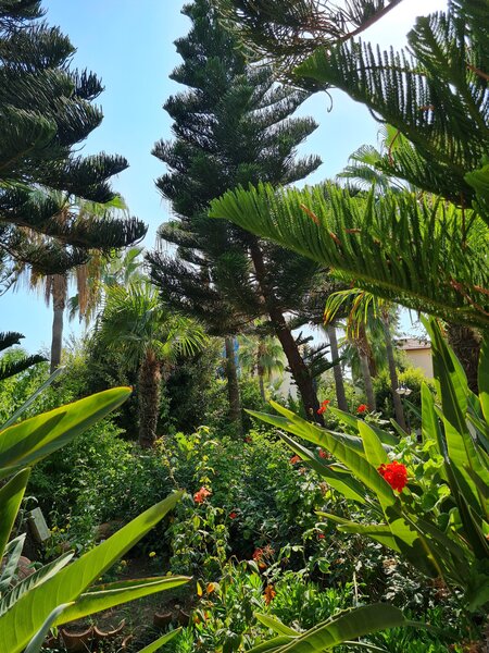 Saphir Hotel & Villas 74