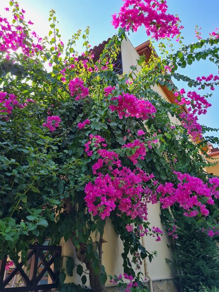 Saphir Hotel & Villas 75