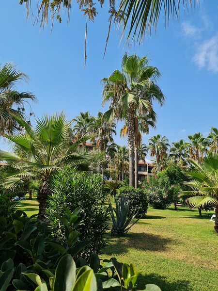 Saphir Hotel & Villas 78