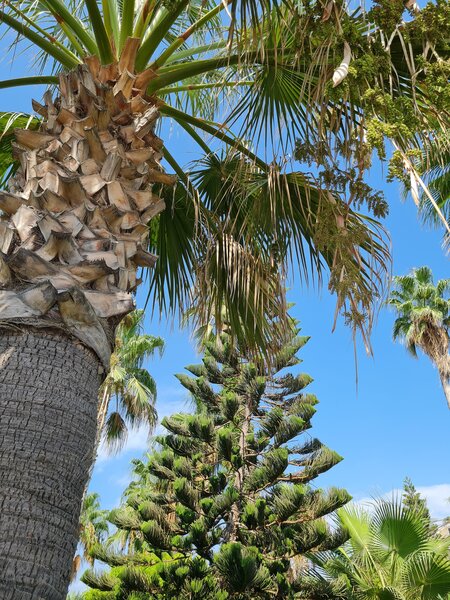 Saphir Hotel & Villas 79