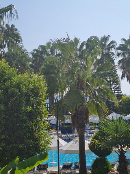 Saphir Hotel & Villas 80