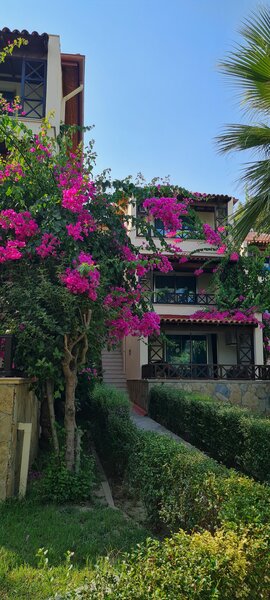 Saphir Hotel & Villas 83