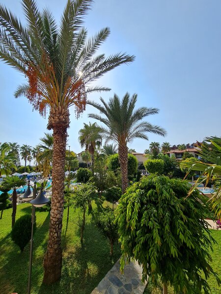 Saphir Hotel & Villas 90