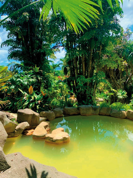 Hotel Arenal Paraíso Resort & Spa 5