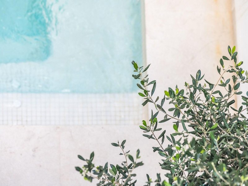 Bordoy Mostatxins 11