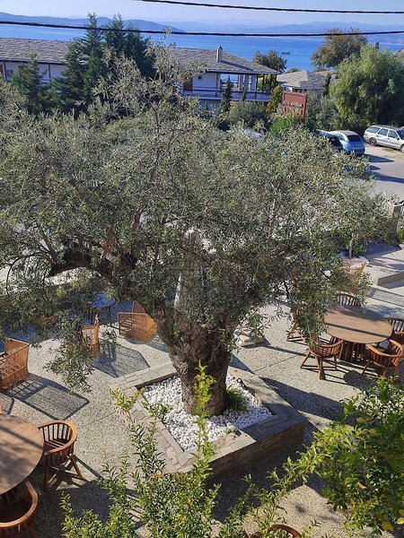 Ayia Marina Suites 1