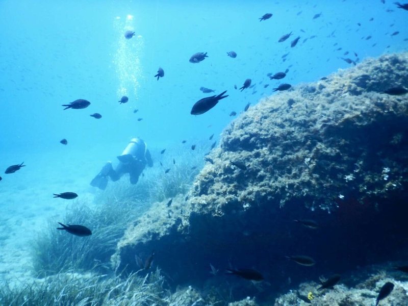 Akrathos Beach Hotel 45