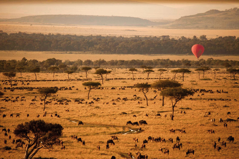 Sanctuary Olonana Camp