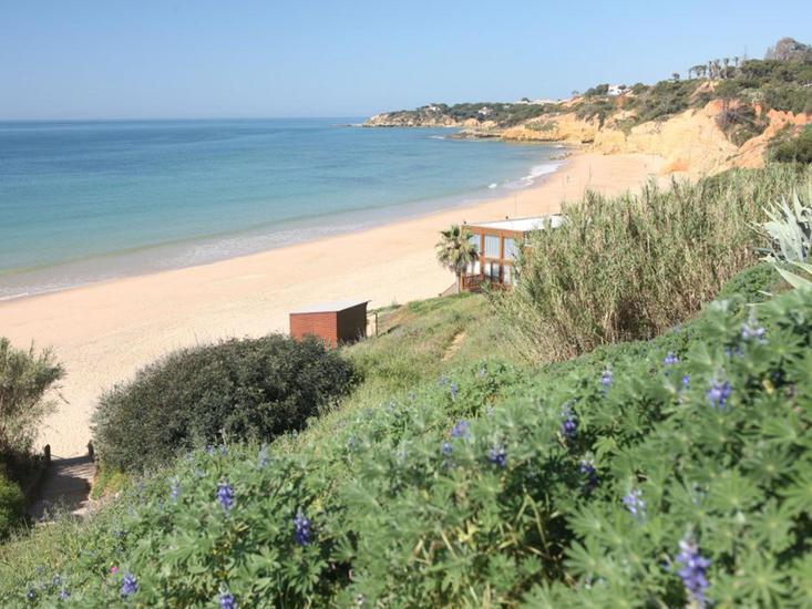 Clube Maria Luisa 19