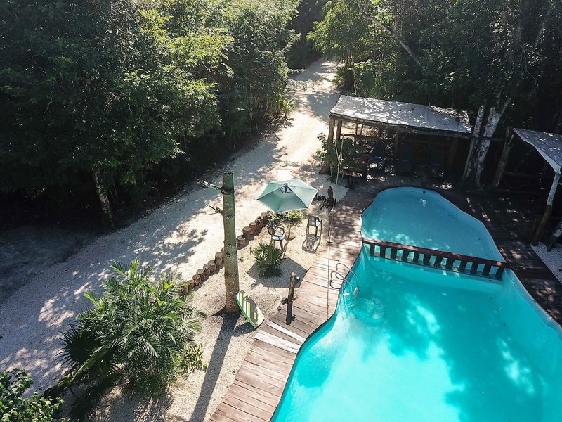 Jolie Jungle 7