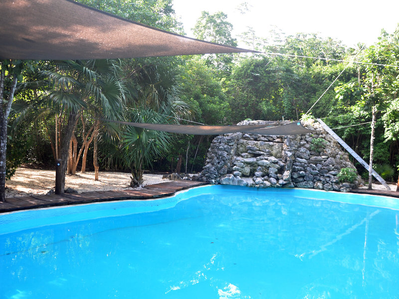 Jolie Jungle 16