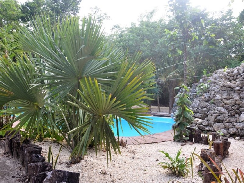 Jolie Jungle 19