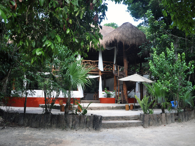 Jolie Jungle 27
