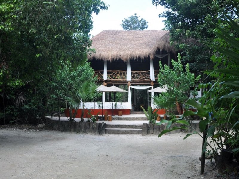 Jolie Jungle 30