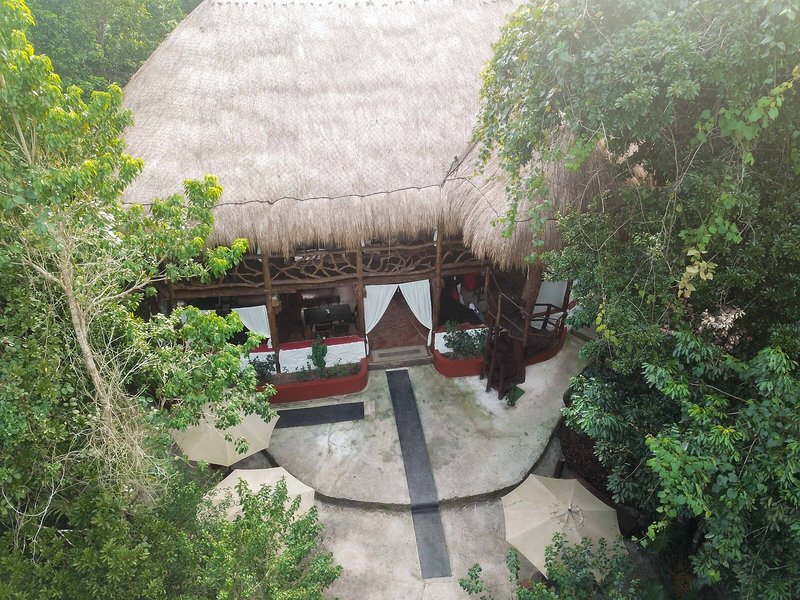 Jolie Jungle