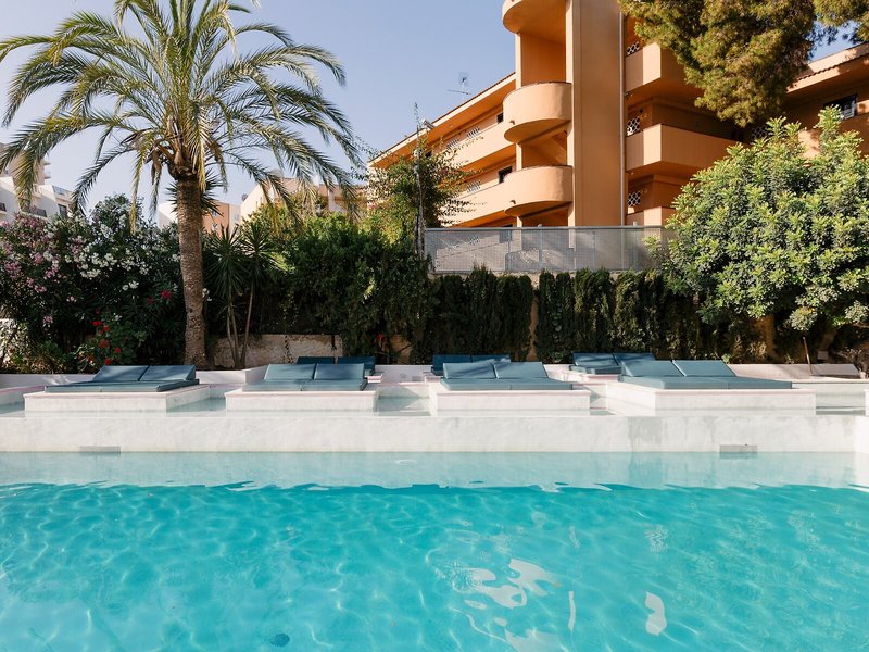 BelleVue Vistanova 8