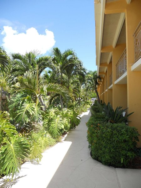 Hampton Inn at Manatee Bay 2