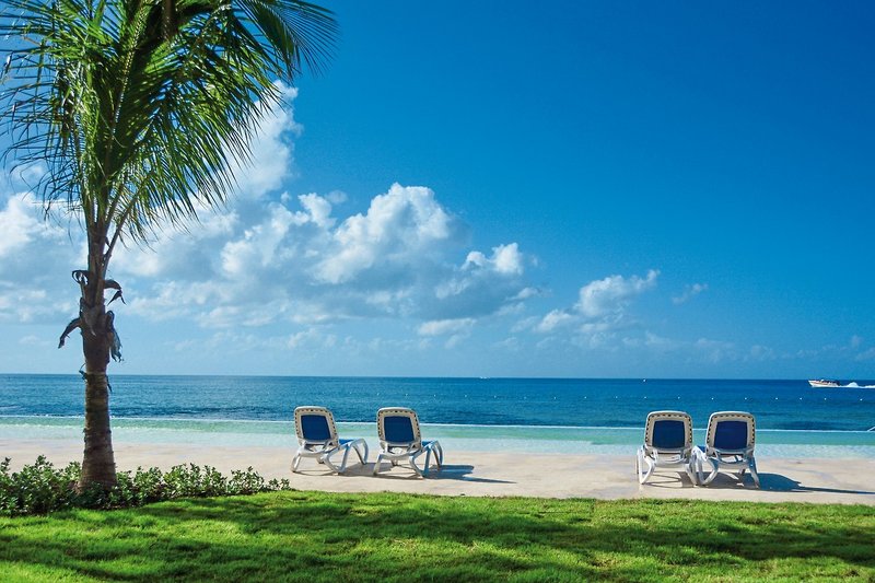 Viva Dominicus Beach by Wyndham 13