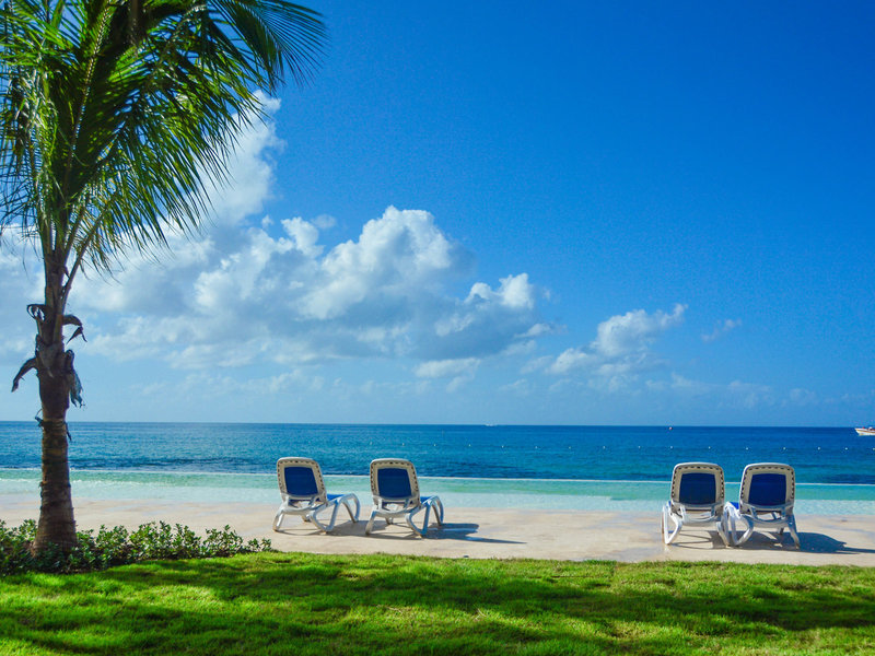 Viva Dominicus Beach by Wyndham 7