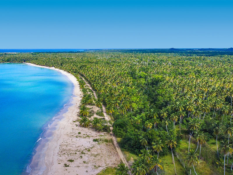 Viva Dominicus Beach by Wyndham 22