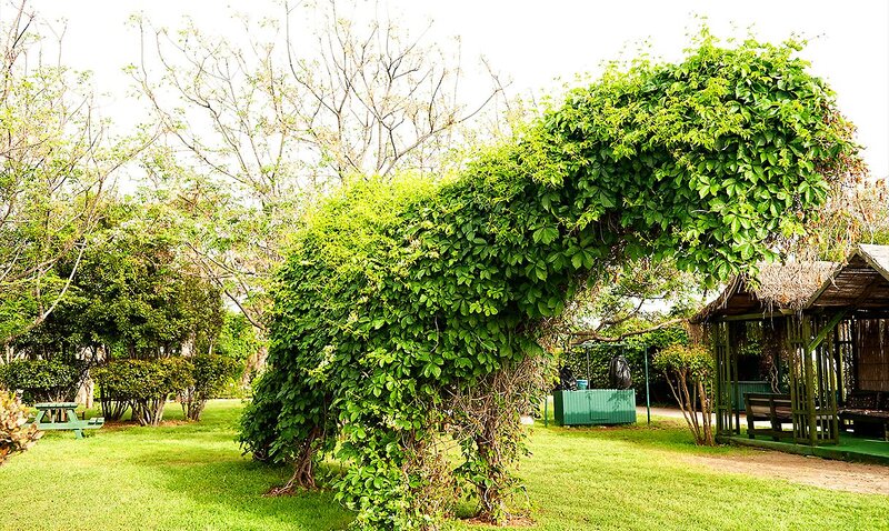 Belconti Resort 156 - Garden