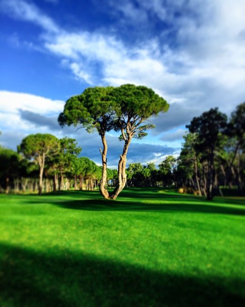 Kaya Belek 22
