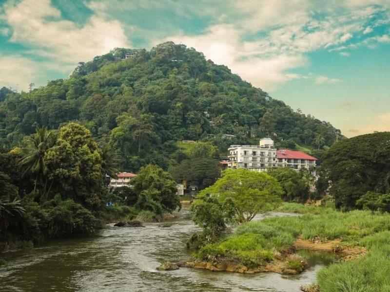 Oak Ray Regency Hotel 3